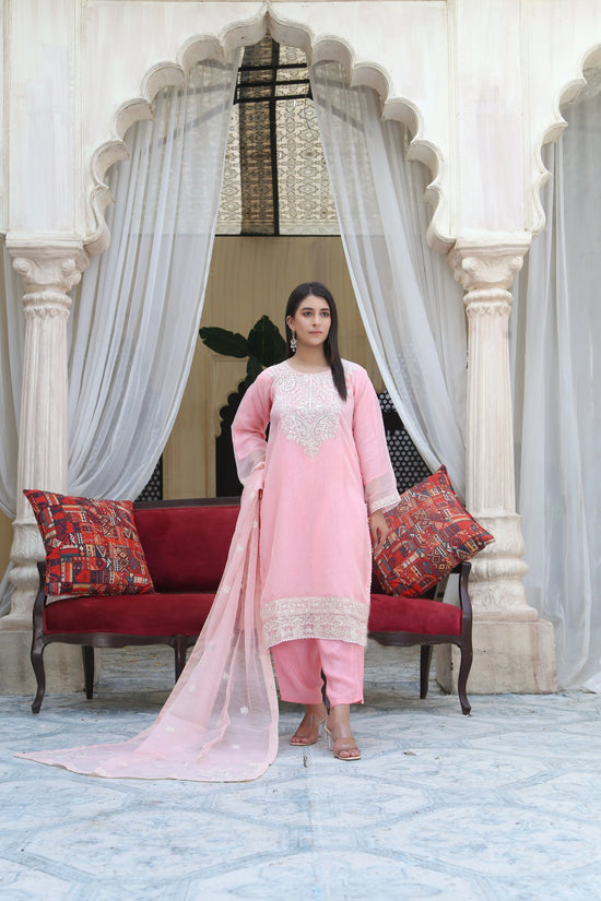 Cotton Net Finish with Resham detailing and Sequin Embroidery Bello Pret